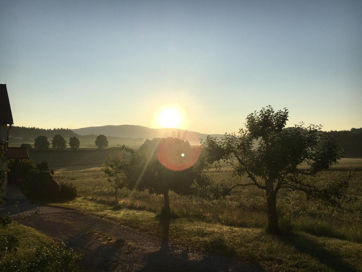 Ferienwohnung Im Idyll 1 Hengersberg Buitenkant foto
